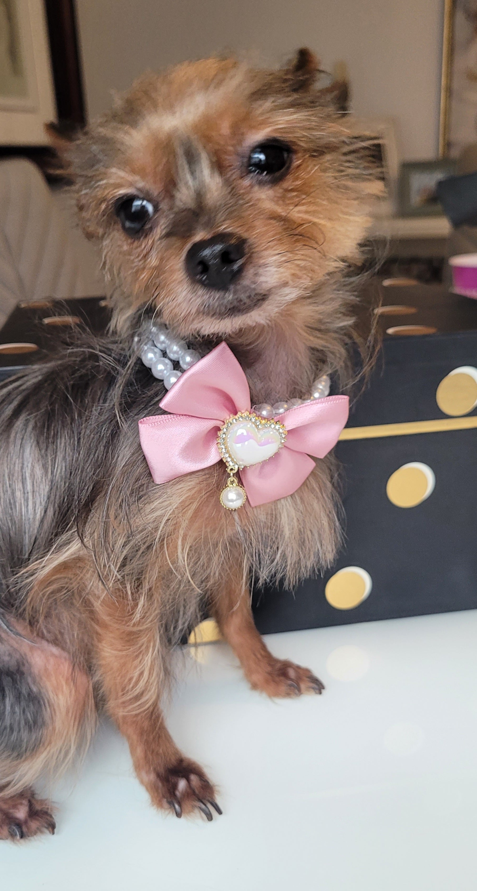Pearl pink dog collar